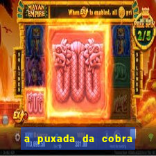 a puxada da cobra no jogo do bicho